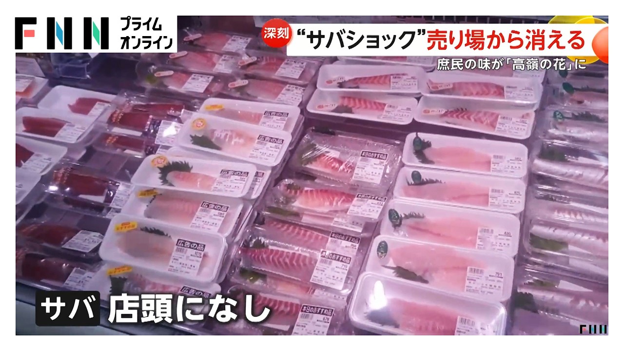 “サバショック”売り場から消える店舗も…漁獲量10年で半減し価格が上昇　愛媛で完全養殖に成功（2026年03月12日） img