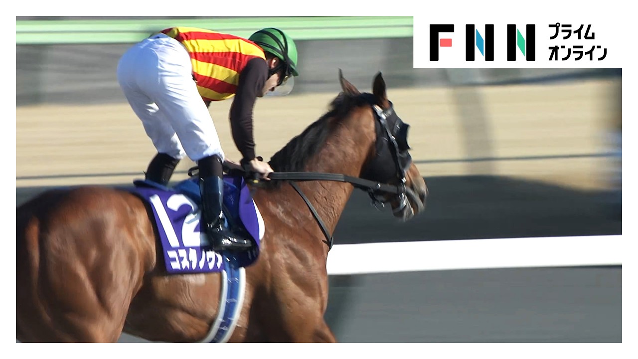 【フェブラリーＳ・GⅠ】今年もやっぱりルメール！2026年最初のGⅠウィナーは “東京ダートの鬼”コスタノヴァ！史上3頭目の連覇達成 img