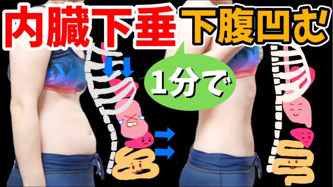 【１分下腹痩せ】内臓下垂を治す‼️たったこれだけで？！みるみるナス腹が凹む！ img