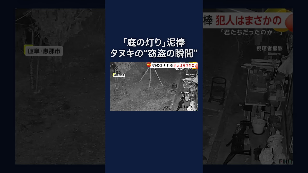 庭に設置した照明が連続して盗まれる　岐阜・恵那市で住人がタヌキの“窃盗の瞬間” #shorts img