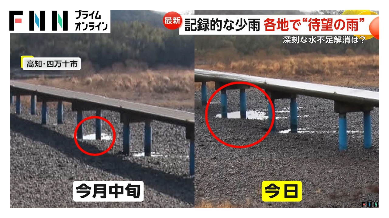 各地で待望の恵みの雨…大人気の子ザル「パンチ君」も雨宿り 都心でも117日ぶりのまとまった雨 気温も急低下（2026年02月25日） img