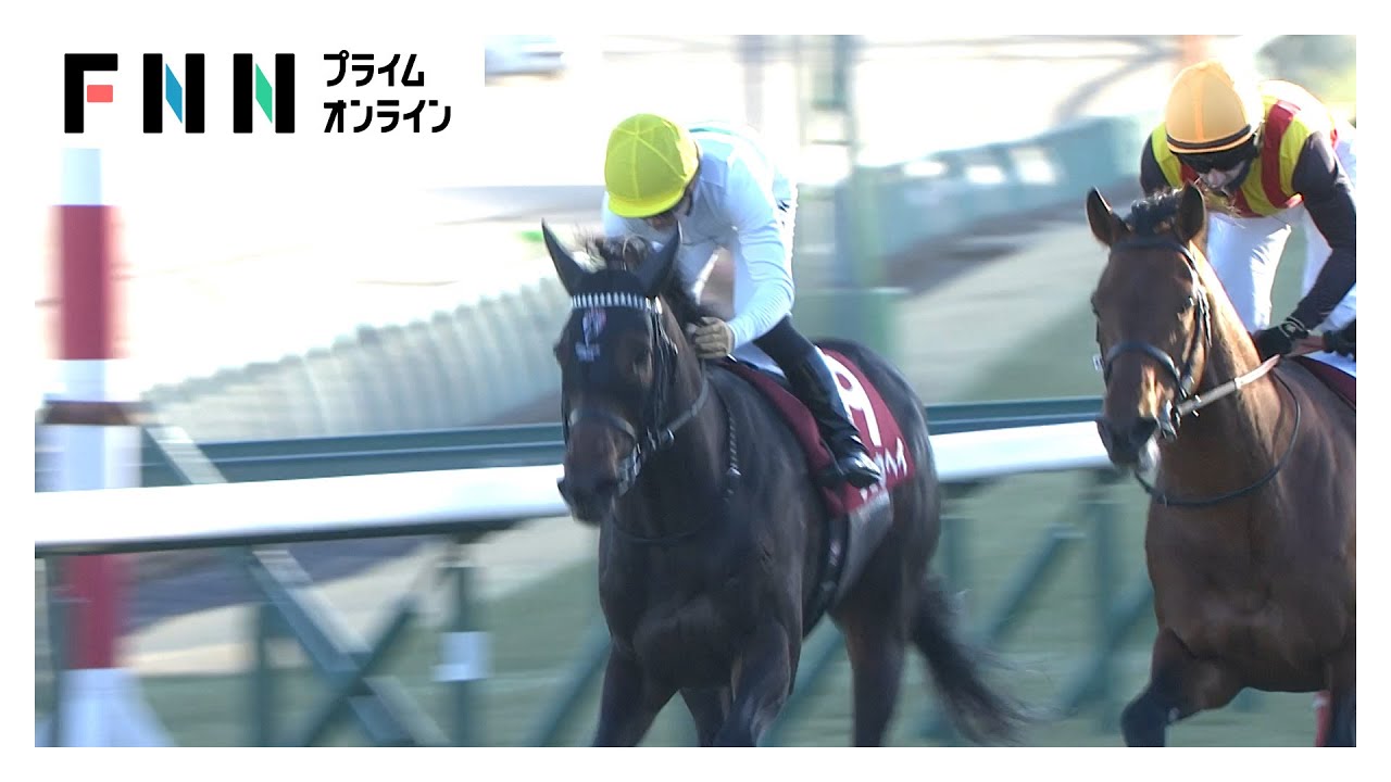 【アメリカジョッキークラブC・GⅡ＆プロキオンS・GⅡ】中山では「最強4歳世代」ショウヘイが豪快アーチで重賞2勝目！京都は重賞全て2着だったロードクロンヌが悲願の頂点(2026年01月25日) img